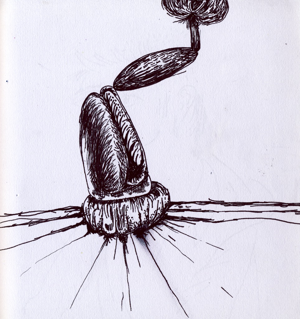 Medium 20150222213651