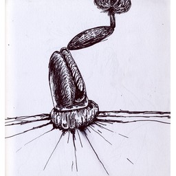 Thumb 20150222213651