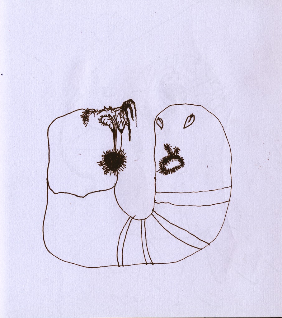 Medium 20150222213806