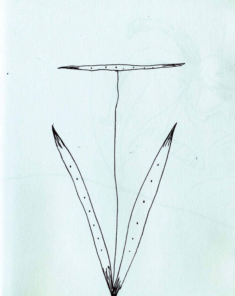 Medium 20150222213953