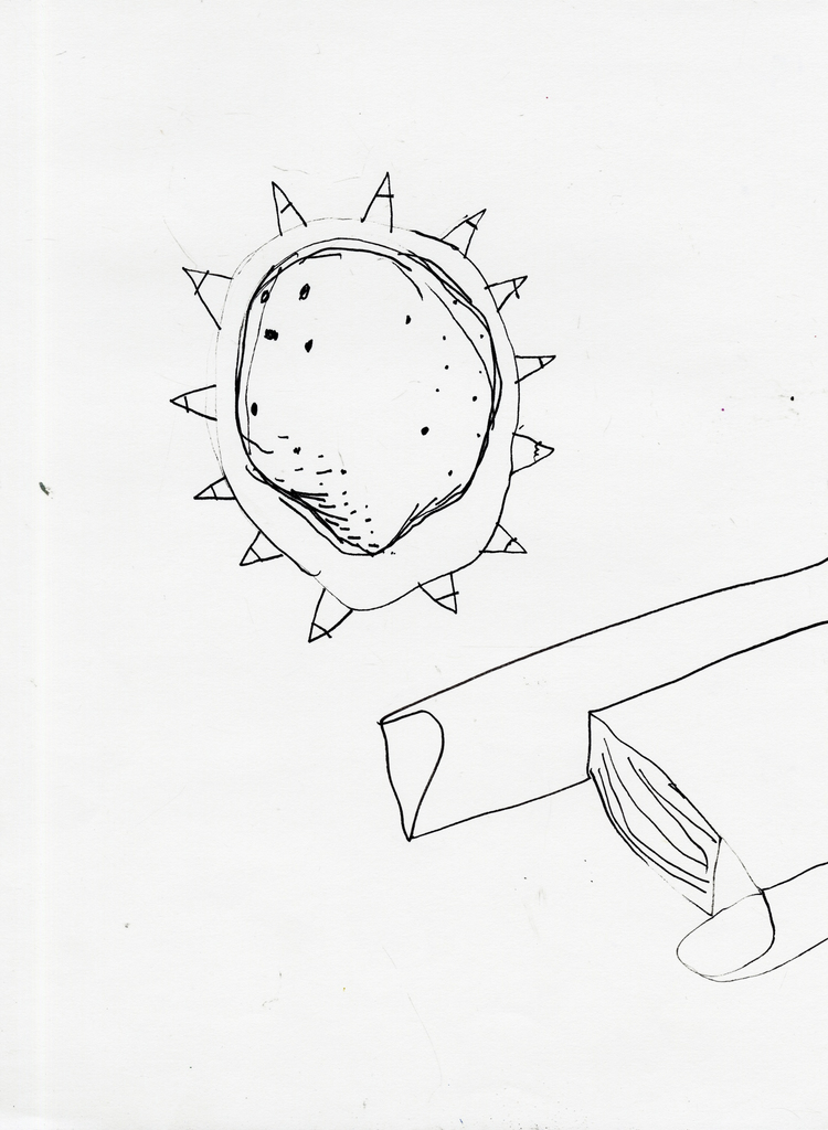 Medium 20150222214957