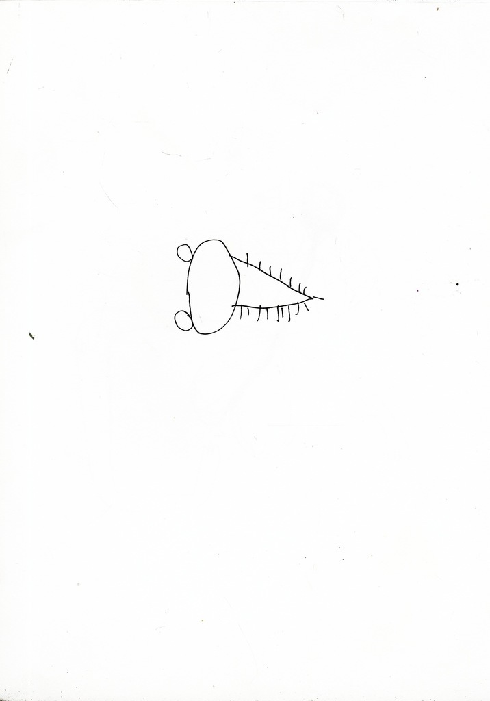 Medium 20150222231357