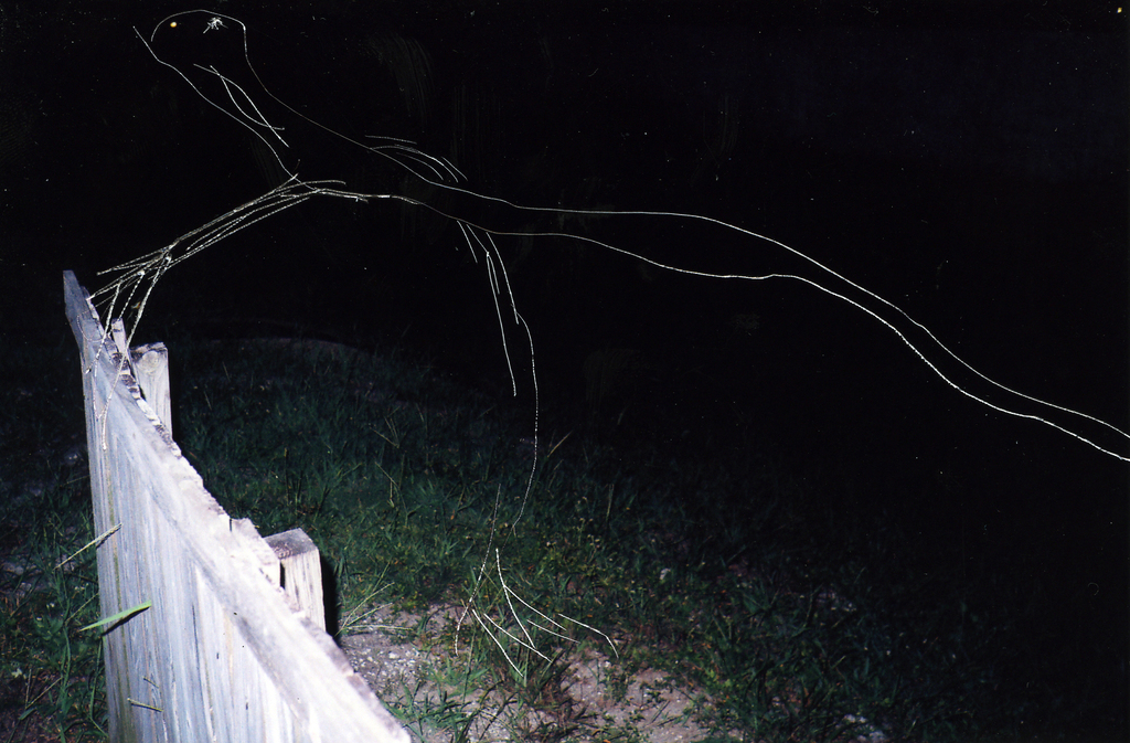 Medium 20150223013758