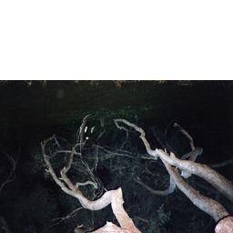 Thumb 20150223013812