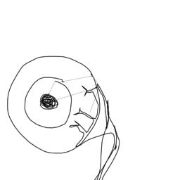 Thumb 20150224031841