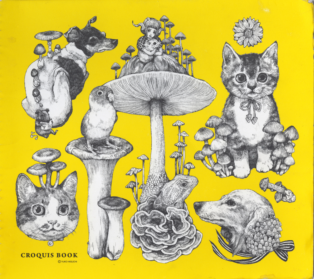 Medium 20150308225524