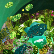 Medium 20150309002321